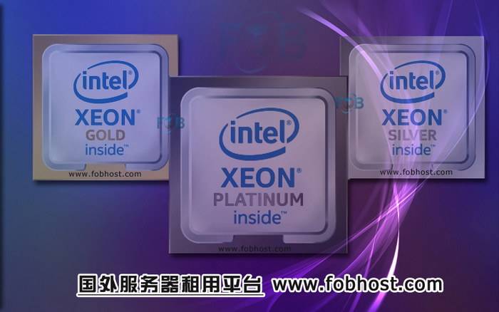 深入了解日本云主机在P2P下载中的应用与限制